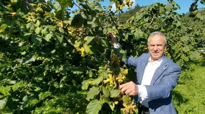 trabzon ticaret borsasi baskani ergan q79sSz7w