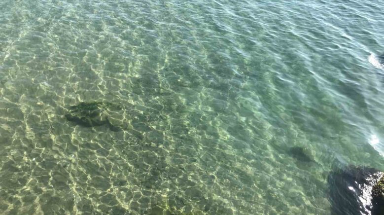 yakit dokulen deniz temizlendi vatandaslar solugu inkumunda aldi JilNCVd3