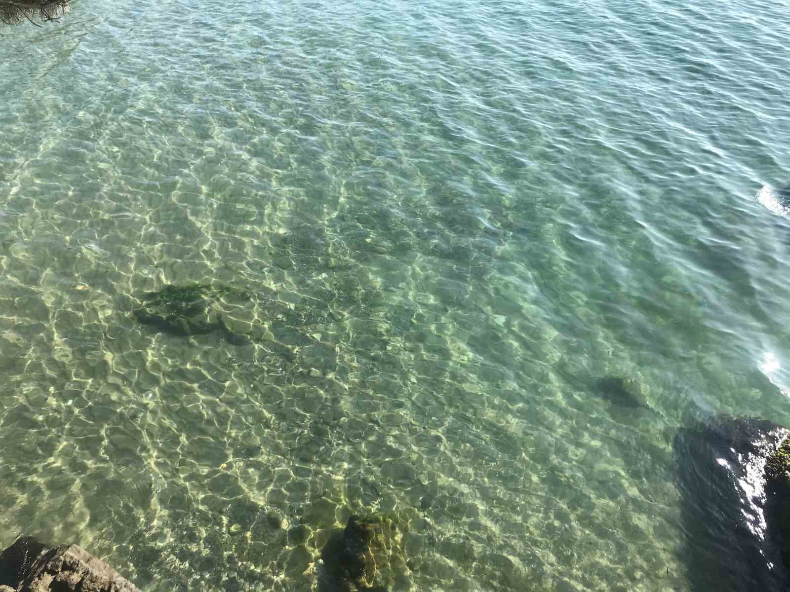 yakit dokulen deniz temizlendi vatandaslar solugu inkumunda aldi JilNCVd3