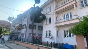 yikilma tehlikesi olan agac itfaiye ekipleri tarafindan kesilecek Y3dEAEvJ