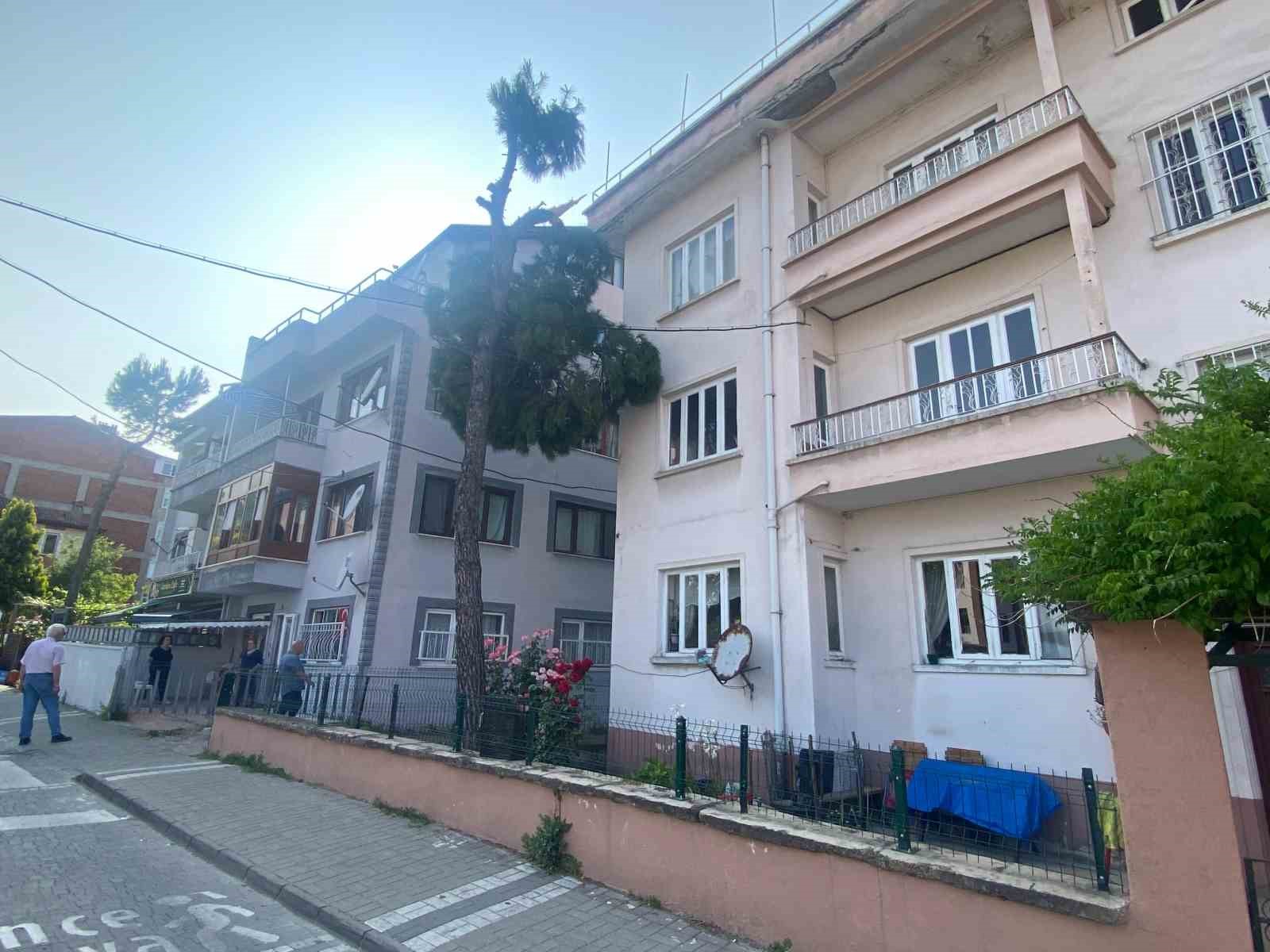 yikilma tehlikesi olan agac itfaiye ekipleri tarafindan kesilecek Y3dEAEvJ