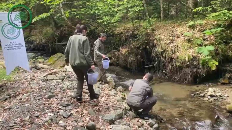 yuzlerce alabalik derelere salindi 8YHm7Ps8