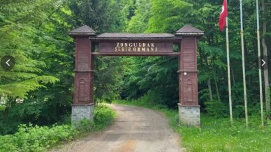 zonguldak ormanlarda ates yakilmasi yasaklandi cN2qCtYu