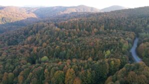 zonguldak valiligi 30 eylule kadar ormanlara girisleri yasakladi RqST3gx4