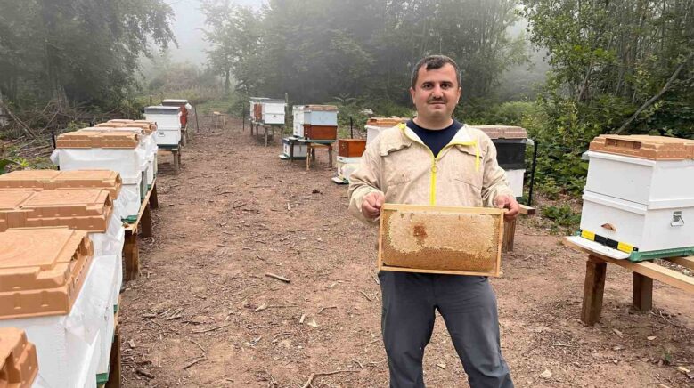 zonguldakta ormangulu balinda onemli uretim ye6y9UDO