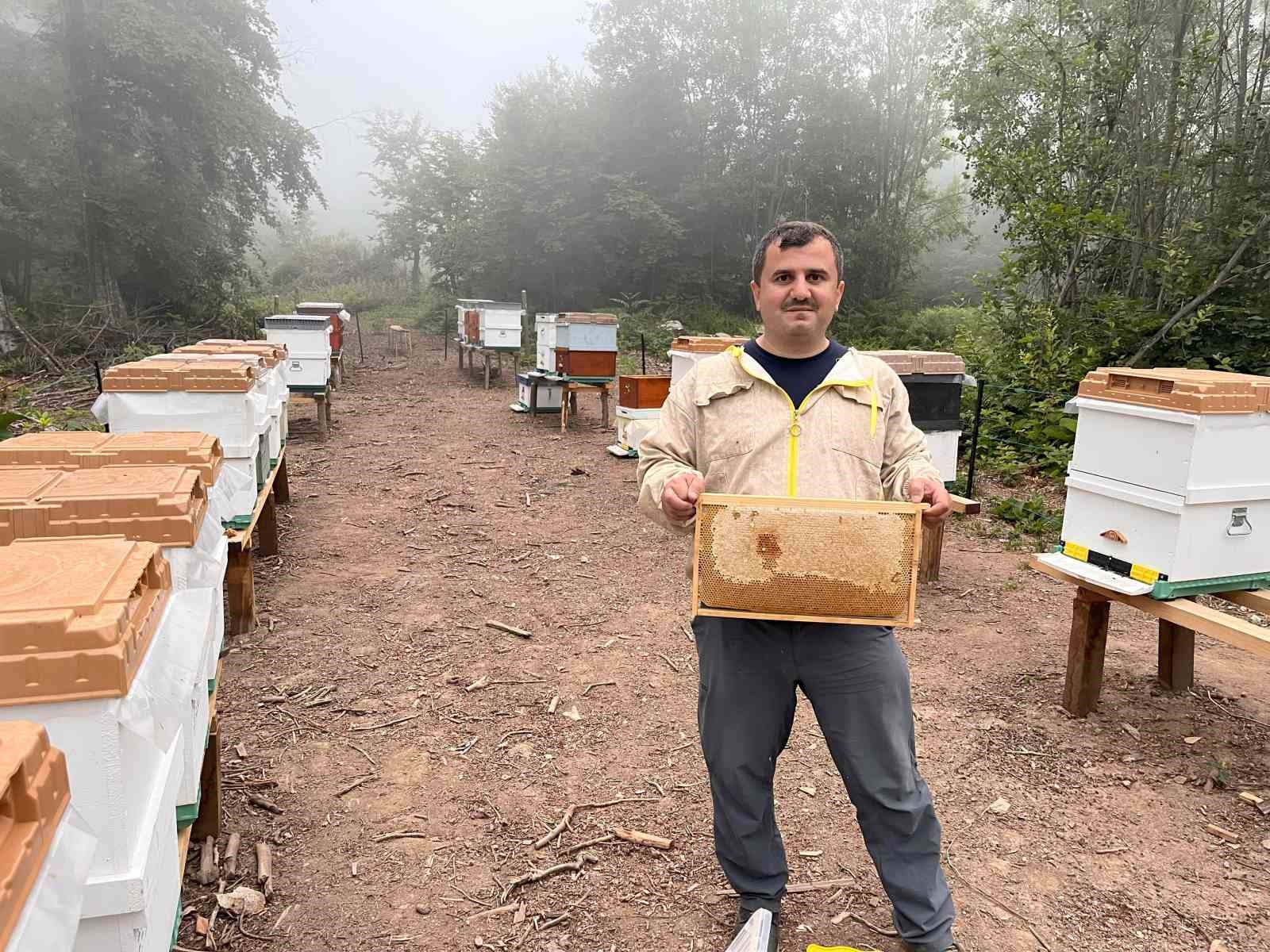 zonguldakta ormangulu balinda onemli uretim ye6y9UDO