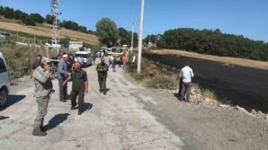 1 yillik emek kul oldu orman son anda kurtarildi vmjIMOXf