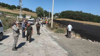 1 yillik emek kul oldu orman son anda kurtarildi vmjIMOXf