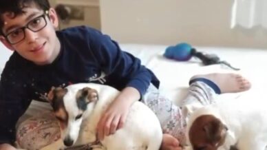 15 yasindaki oglunu kaybeden baba siz sadece katil degilsiniz vatan hainisiniz RlIAY92X