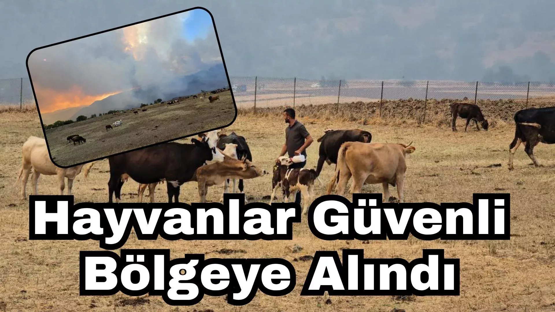 BAYRAM NAMAZI UC NISAN CAMIINDE KILINDI