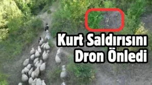 Bir baslik ekleyin 2025 07 26T134400.524