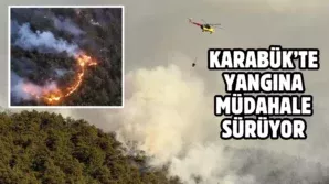 Bir baslik ekleyin 71