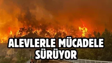 Bir baslik ekleyin 75