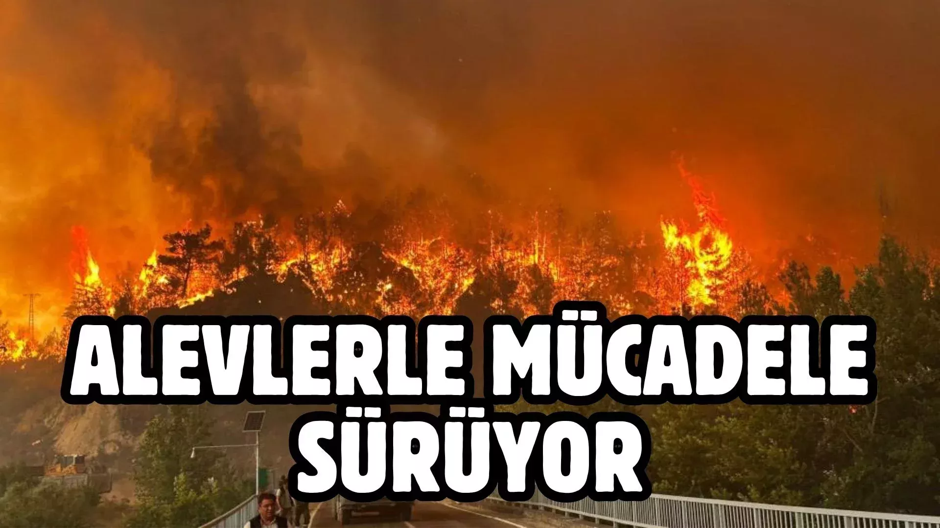 Bir baslik ekleyin 75