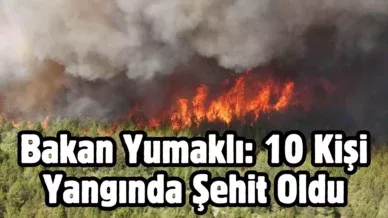 Bir baslik ekleyin 79