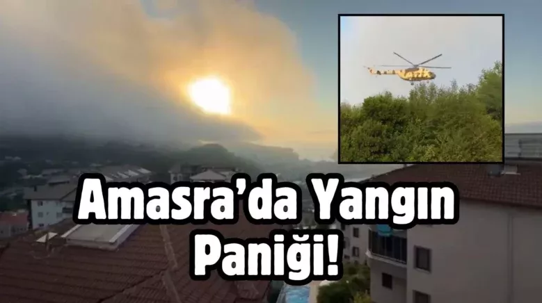 Bir baslik ekleyin 86