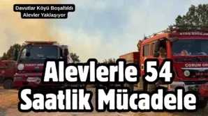 Bir baslik ekleyin 90