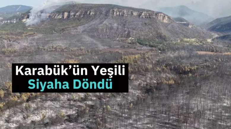 Siyah ve Mavi Koyu Profesyonel Yemek Sektoru Teklifi Misyon ve Hedefler Sunum 14