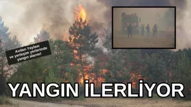 Siyah ve Mavi Koyu Profesyonel Yemek Sektoru Teklifi Misyon ve Hedefler Sunum 19