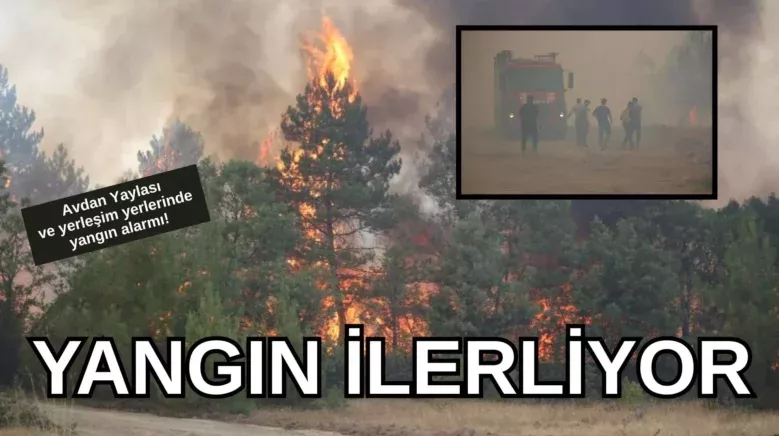 Siyah ve Mavi Koyu Profesyonel Yemek Sektoru Teklifi Misyon ve Hedefler Sunum 19