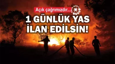 WhatsApp Image 2025 07 04 at 12.15.46