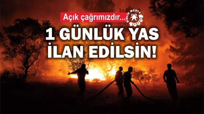 WhatsApp Image 2025 07 04 at 12.15.46