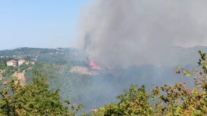 alaplida ormanlik alanda yangin USJlyKKd