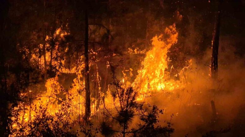 alevler gectigi yeri karartti yGEIAw1t