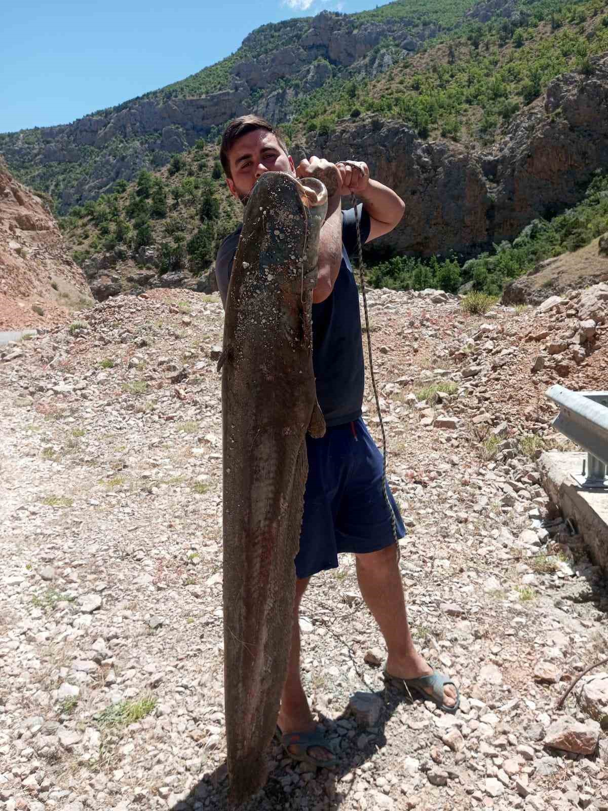 ardanucta baraj golunde dev yayin baliklari yakalandi qTM79YIg