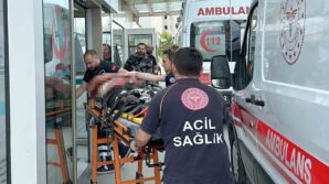 arkadasini bicaklayip balkondan asagiya atan sahis 13 yil 6 ay hapis cezasina carptirildi PkQyQVn6