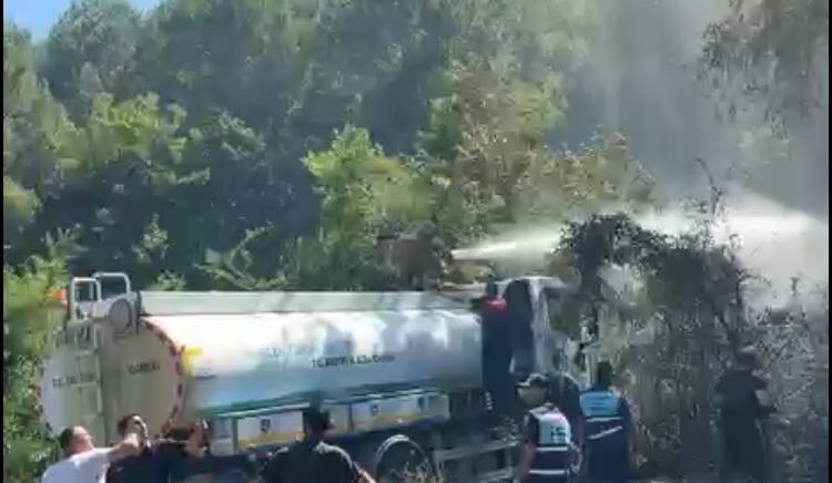 bartinda bahce yangini ormana sicramadan sonduruldu PmT4Oh5q