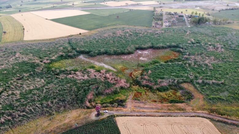 binlerce kusa ev sahipligi yapan sulak alan tamamen kurudu VE9DFvEi