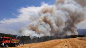 boluda aniz yangini ormana sicradi gtjxjzlU