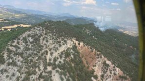 boluda cikan orman yangini buyumeden kontrol altina alindi 8atszQ8S