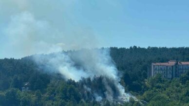 boluda cikan orman yangini buyumeden sonduruldu Dfk26Xys