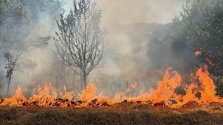 boluda faciadan donuldu alevler evlerin dibine kadar ulasti SV8jPfs9