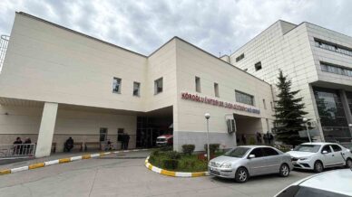 boluda kene isirmasi sonucu 77 yasindaki kadin hayatini kaybetti IyBrFusH