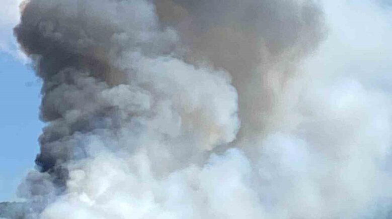 boluda orman yangini pJhILFzC