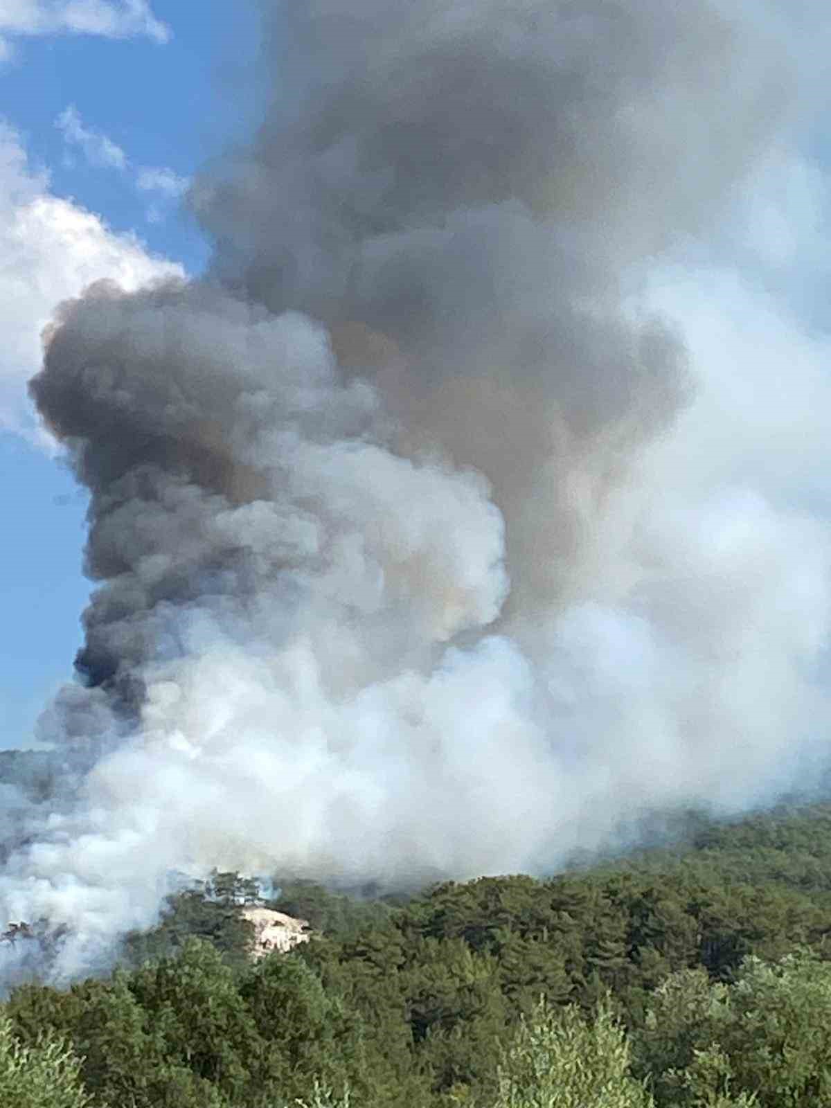 boluda orman yangini pJhILFzC