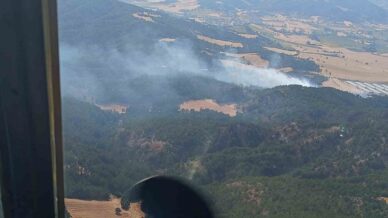 boluda orman yangini qRZHd5FA