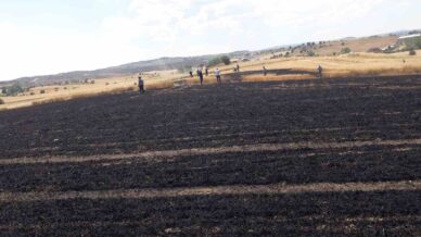bugday ekili tarlada cikan yanginda 15 donum alan zarar gordu gPRXqzUX
