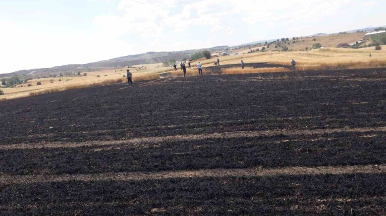 bugday ekili tarlada cikan yanginda 15 donum alan zarar gordu gPRXqzUX