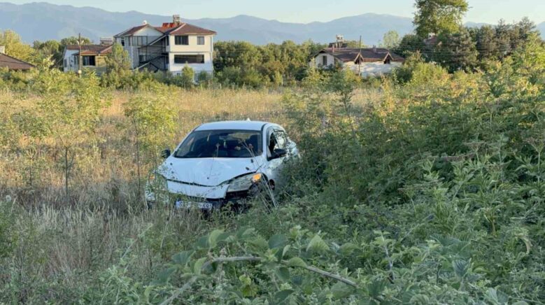 buyukbas hayvana carpmamak icin manevra yapinca araci sarampole uctu 1 yarali jj2PvAYB