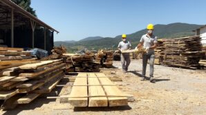 caybelden sokak hayvanlarina bin kulube FO6iqHQg