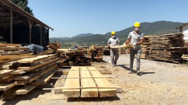 caybelden sokak hayvanlarina bin kulube FO6iqHQg