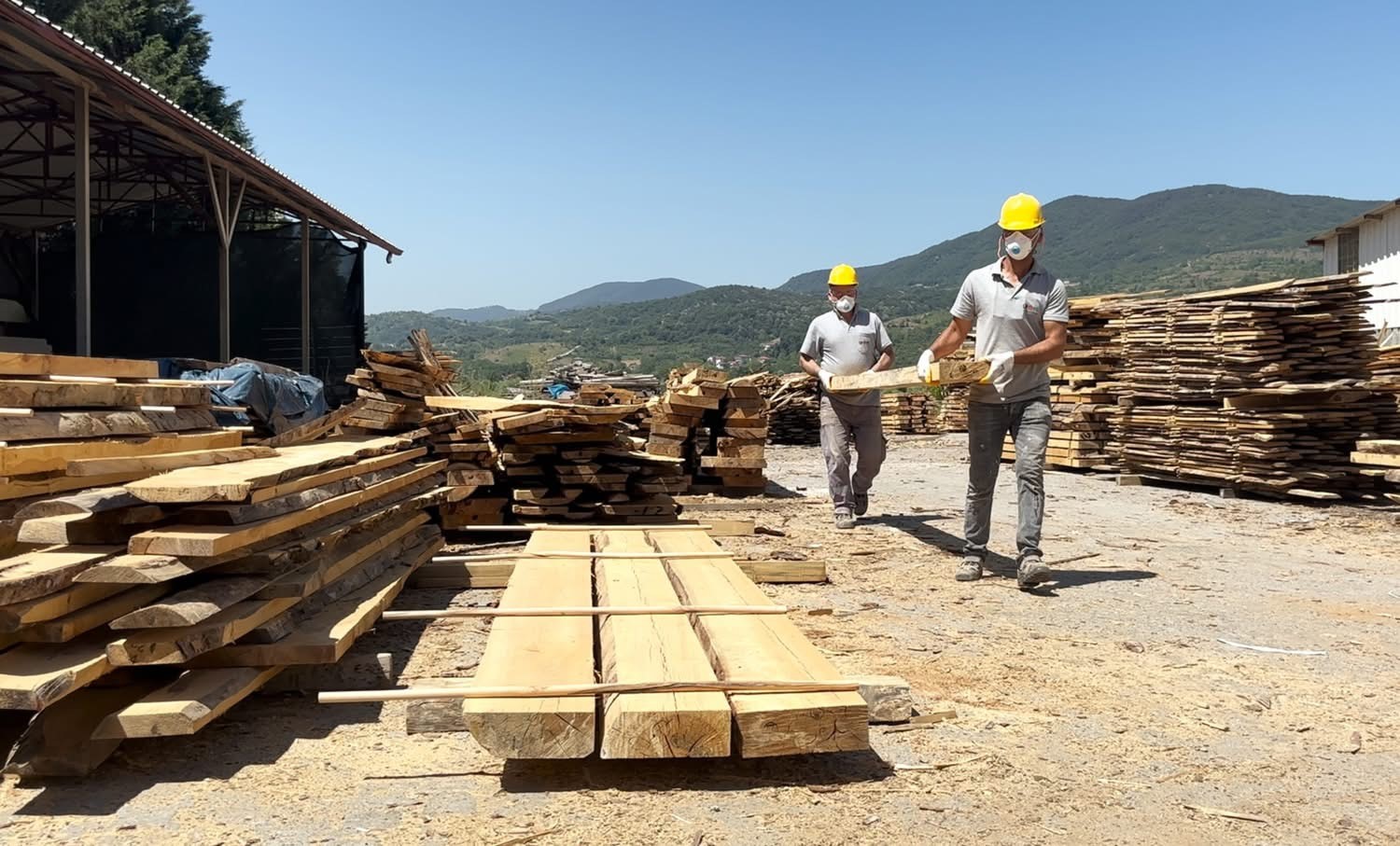 caybelden sokak hayvanlarina bin kulube FO6iqHQg