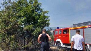 caycumada cikan orman yangini korkuttu DpuU9tRg