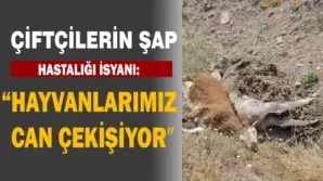 dddddddddddddddddddddddd