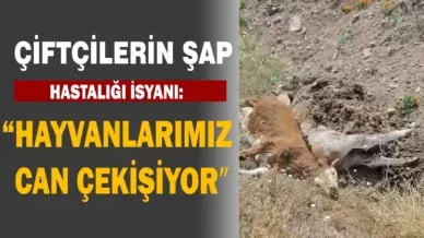 dddddddddddddddddddddddd