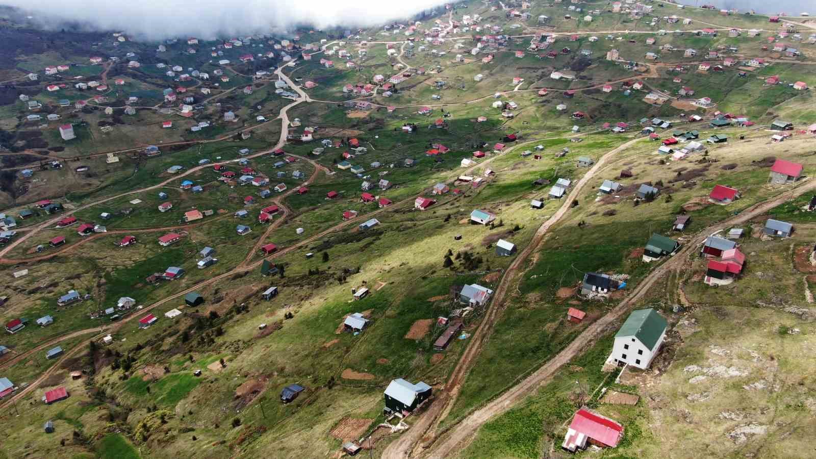dogu karadenizdeki yaylalar kacak betonlasma tehdidi altinda bhwegzsd